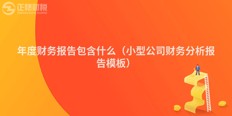 年度财务报告包含什么（小型公司财务分析报告模板）