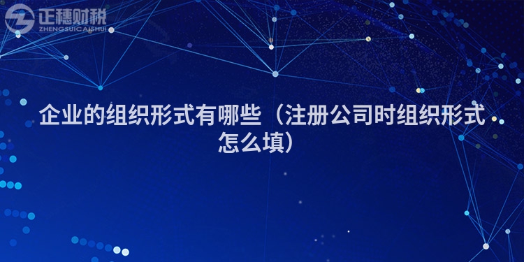企业的组织形式有哪些（注册公司时组织形式怎么填）